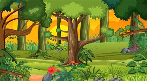 Animated Forest Clipart