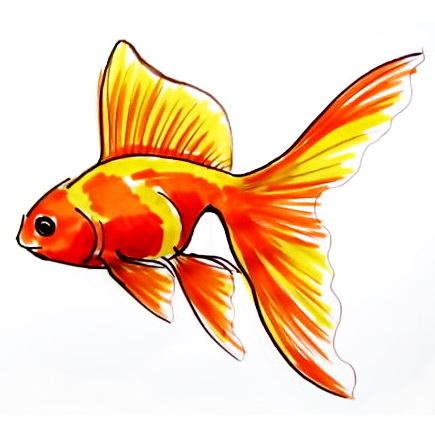 Fish Drawing at GetDrawings | Free download