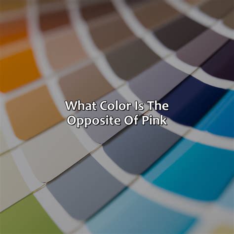 What Color Is The Opposite Of Pink - colorscombo.com