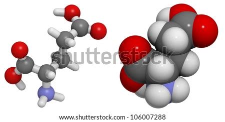 L-Glutamic Acid (Glu, E) Amino Acid Molecule, Chemical Structure. Glutamic Acid Is Also ...