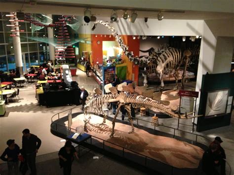 Paleontology Department At The Science Museum Of Minnesota