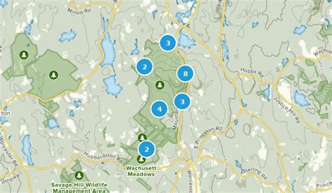 Best Hiking Trails in Wachusett Mountain State Reservation | AllTrails