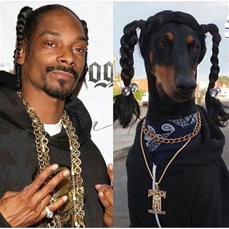 @snoopdogg on Instagram: “Me. N my dogg.” | Snoop dog, Dog halloween costumes, Snoop dog meme