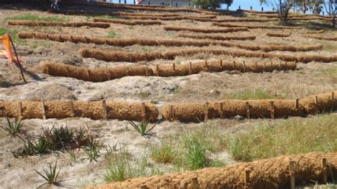 Coir Log Installation Tips - Common Questions Answered