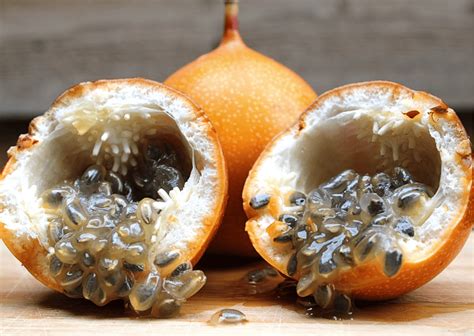 Nicaragua Fruits - 25 Most Exotic Fruits to Not Miss i