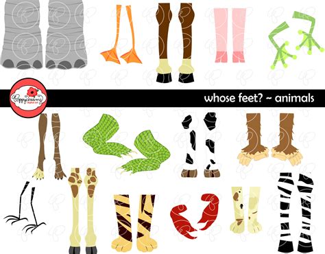 Whose Feet : Animal Digital Clipart Pack 300 Dpi Elephant Zebra Dog Cat Tiger Ape Crocodile Duck ...