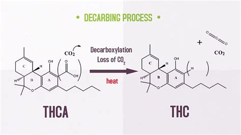 What is the THCA chemical compound and what're its benefits ...