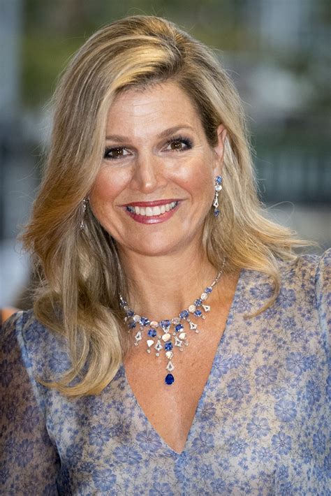 Queen Maxima of The Netherlands attends the benefit gala dinner for the ...