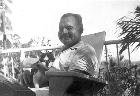 26 Interesting Vintage Photos of Ernest Hemingway With His Beloved Cats ...