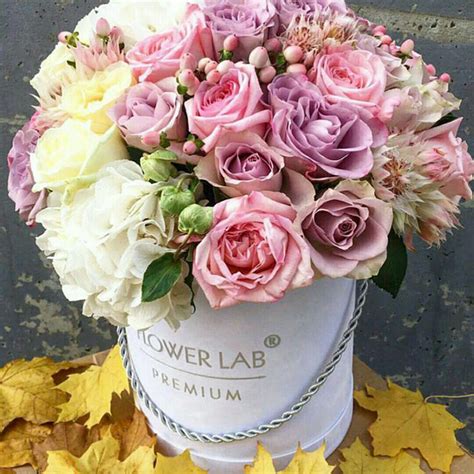 Flower Box Ideas