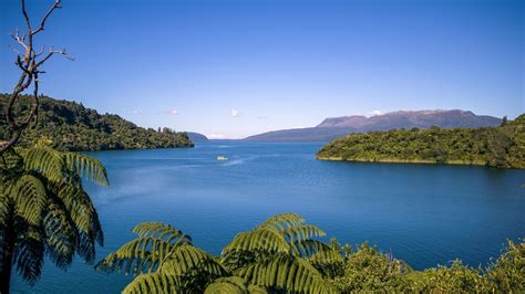 Lake Tarawera | Rotorua NZ