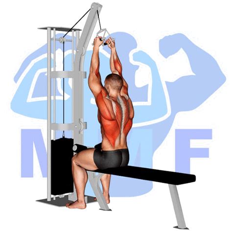 V Bar Lateral Pulldown: Your Guide To This Popular Alternative Lift