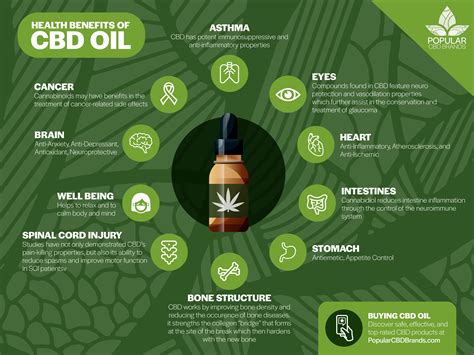 Health Benefits of CBD Oil - Infographic : r/CBDOilReviews