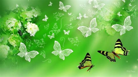 Green Butterfly Wallpaper (65+ pictures)