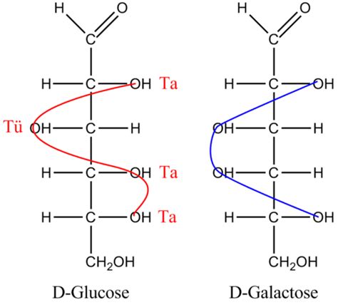 Difference Between Glucose and Galactose | Compare the Difference ...