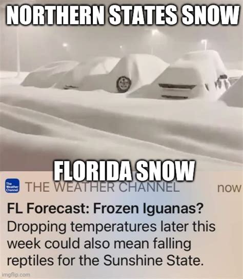 Florida's "Snow" - Imgflip