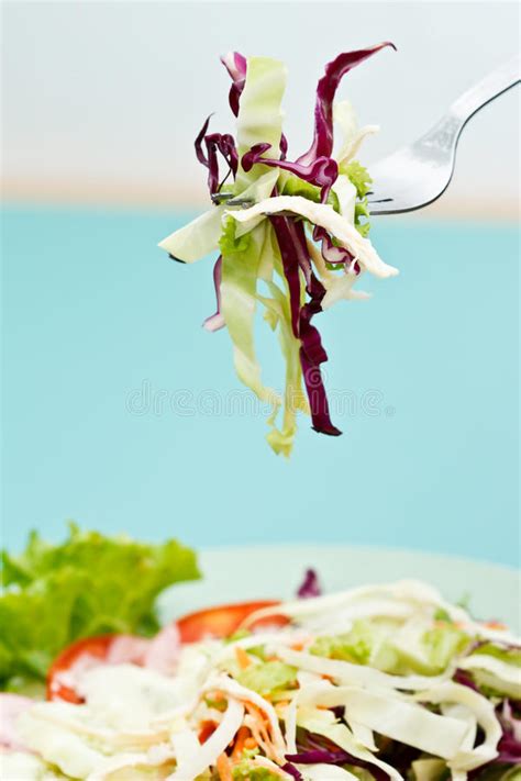 Seafood ceviche stock photo. Image of food, diner, glass - 5524520