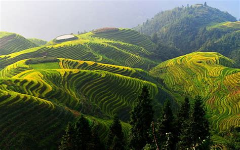 HD wallpaper: Yuanyang terraces, mountains, sun rays, rice fields ...