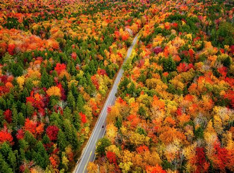 White Mountains Fall Foliage NH Photograph by Susan Candelario - Pixels