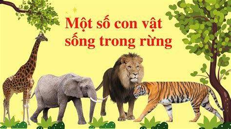 Một số con vật sống trong rừng - YouTube