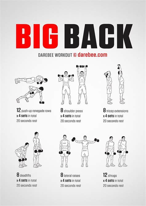 Best Dumbbell Exercises For Back And Biceps at Kristi Hill blog