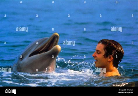 Flipper Flipper Year: 1996 USA ELIJAH WOOD Director: Alan Shapiro Stock ...