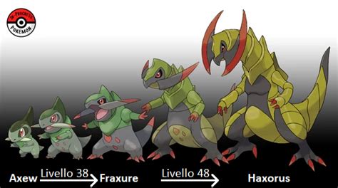 Fraxure | Analisi Pokémon Wiki | Fandom