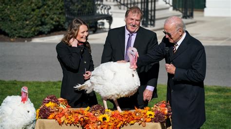 Biden celebrates ‘no ballot stuffing’ at Thanksgiving turkey pardon ...