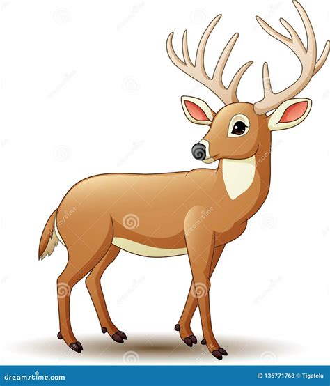 Cartoon Deer Isolated on White Background Stock Vector - Illustration of hooves, forest: 136771768