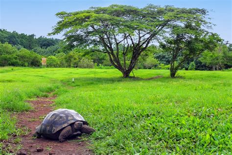 Galapagos Cruise: Wildlife Watching, Snorkeling & Hiking - 11 Days | kimkim