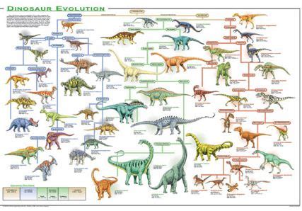 Dino evolution | Dinosaur posters, Science chart, Dinosaur