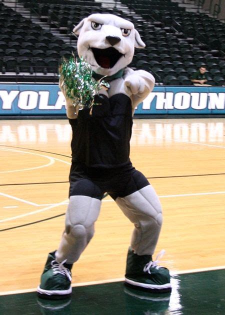 Iggy, Loyola University Maryland | Loyola university, Maryland, Mascot