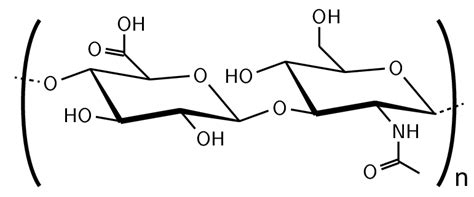 1: Chemical structure of hyaluronic acid. | Download Scientific Diagram