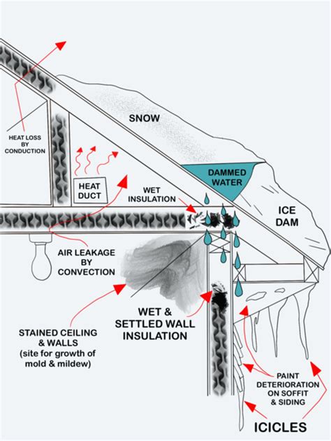 Dealing with and preventing ice dams | UMN Extension