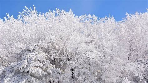 Winter storm chance increasing for parts of Arkansas