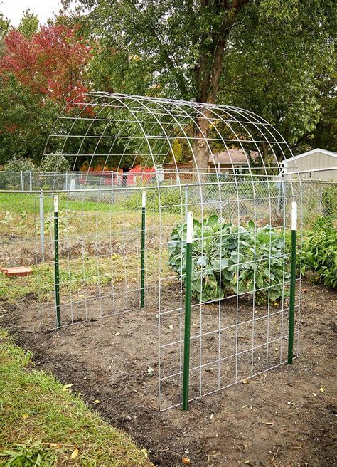 How to build a bean trellis that adds interest to your garden – Artofit