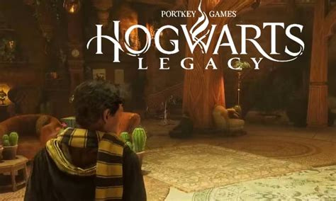 Hogwarts Legacy Hufflepuff - Attract Mode