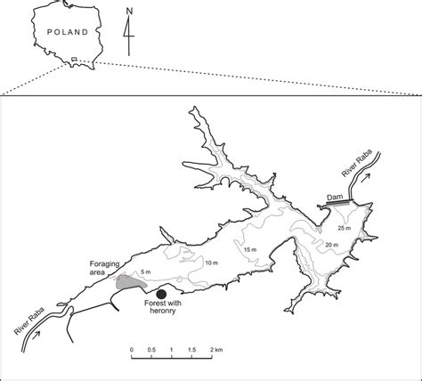 Study area. Breeding colony and foraging area of Grey Heron. | Download Scientific Diagram