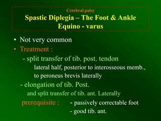 Principles of cerebral palsy | PPT