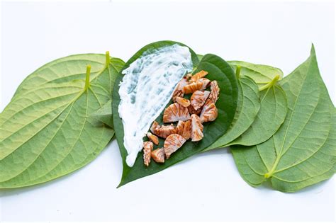 Premium Photo | Chewing betel nut, betel nut with cal lime powder on ...