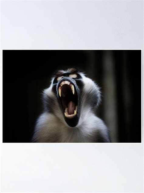 "monkey, screaming monkey" Poster by hottehue | Redbubble