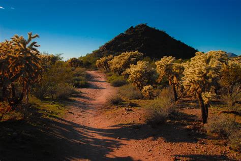 Arizona Desert Landscape Free Stock Photo - Public Domain Pictures