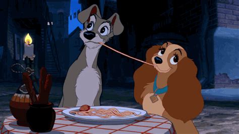 Lady And The Tramp GIFs - Find & Share on GIPHY