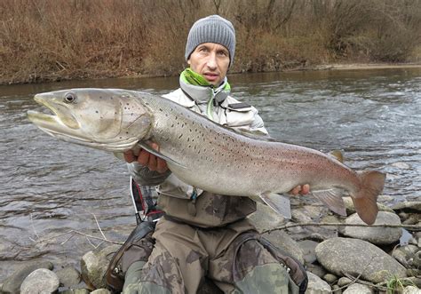 Fly Fishing in Slovenia: The Complete Guide - FishingBooker Blog