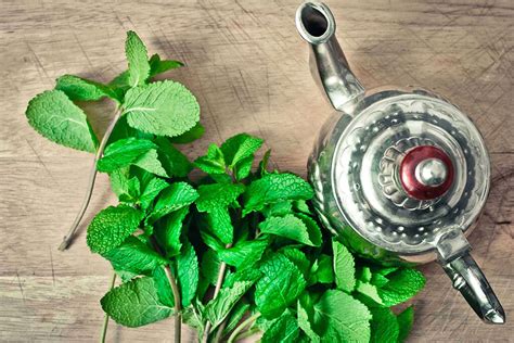 Spearmint Tea: 10 Benefits of Spearmint Tea