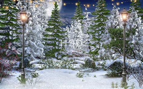 Winter Forest - dream fabric / 8'W x 5'H (landscape) | Photo backdrop ...