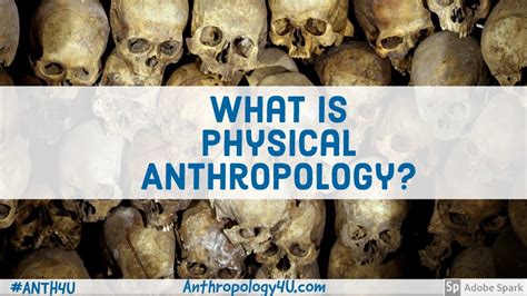 What is Physical Anthropology? - YouTube