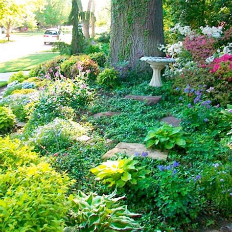 49 best images about Shade Gardens/Plants under Trees on Pinterest | Gardens, Trees and Rustic ...