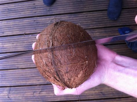 Open and Prepare Coconut : 4 Steps - Instructables