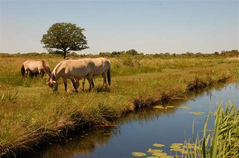 K&M UK Tales: The Fens